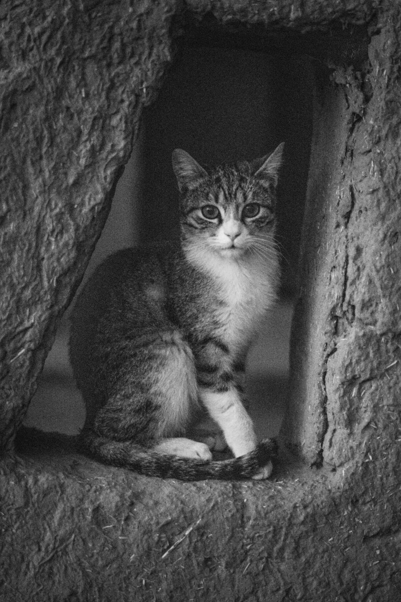 La Maison-Berbere Mhamid Dış mekan fotoğraf