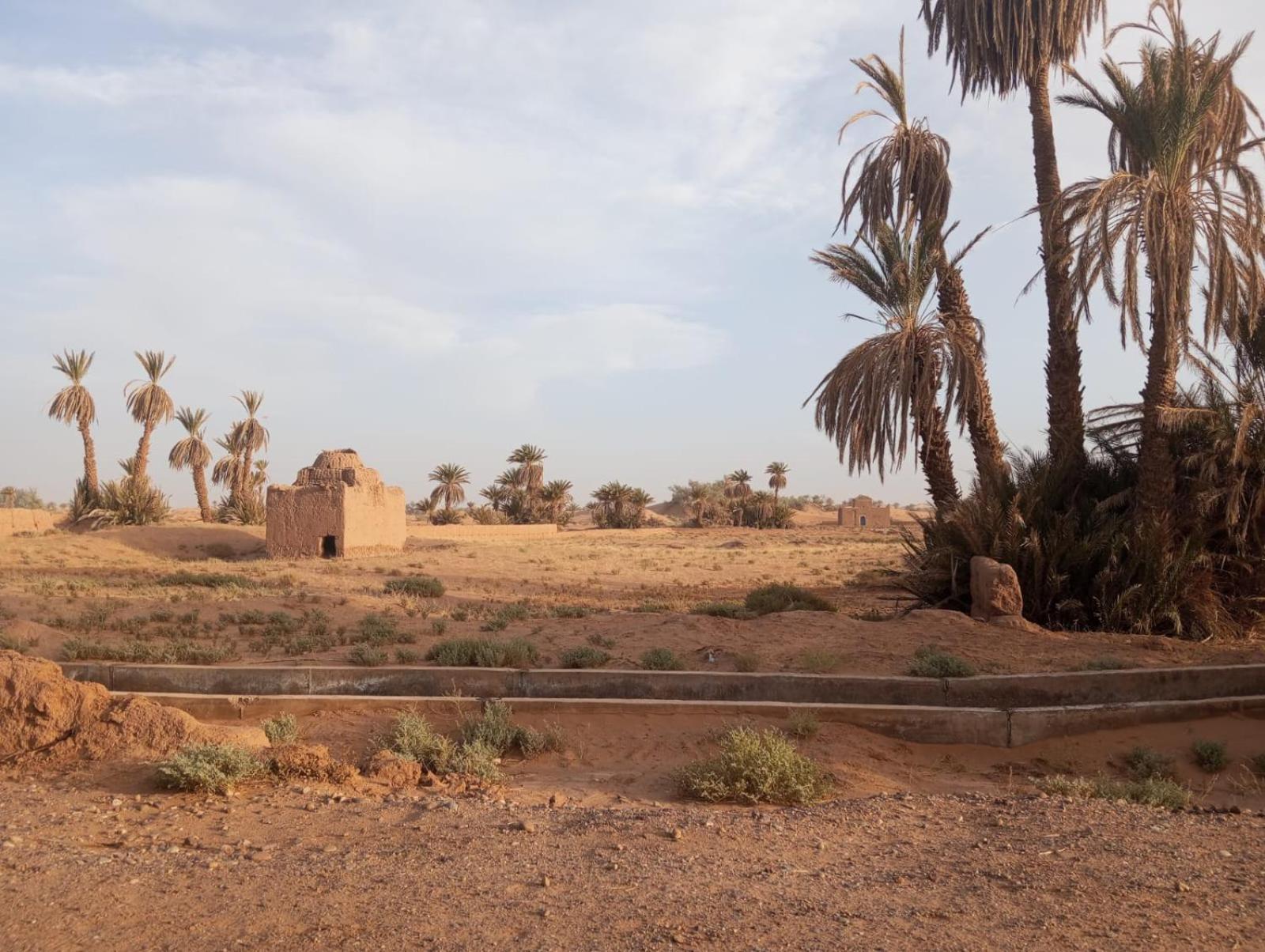 La Maison-Berbere Mhamid Dış mekan fotoğraf